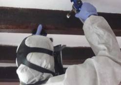 Tratamientos para la madera